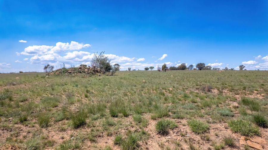12 Bedroom Property for Sale in Deneysville Free State